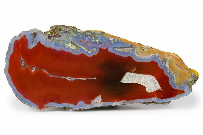 Colorful, Polished Patagonia Agate - Highly Fluorescent! #260755